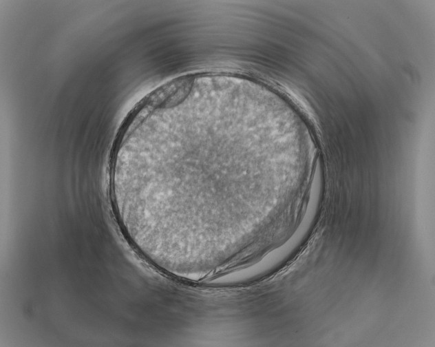 X0000112430944200909251533