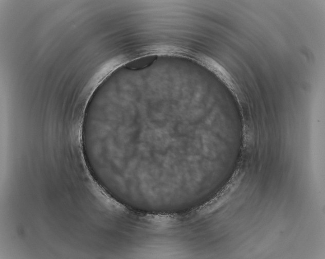 X0000112430946200909251533