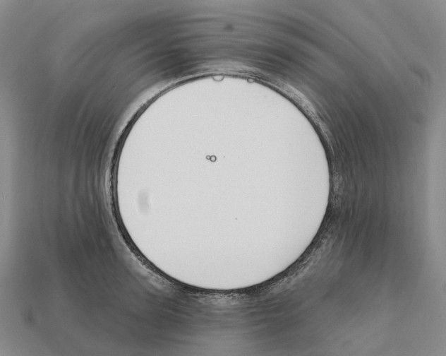 X0000112430947200909251533