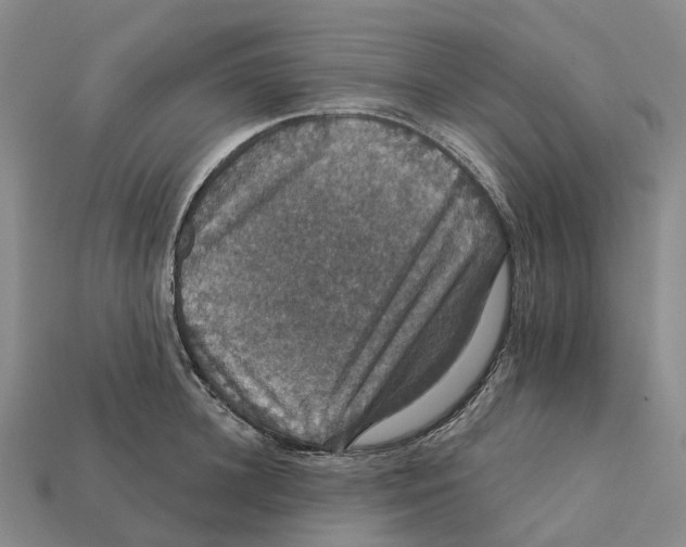 X0000112430948200909251533