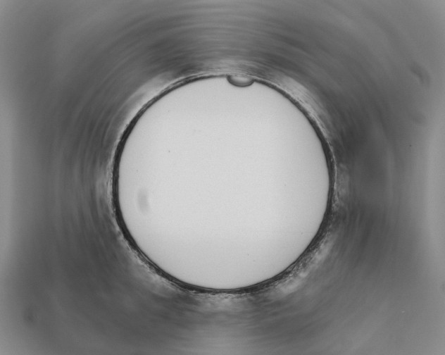 X0000112430949200909251533
