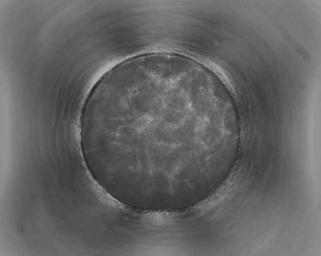 X0000112430950200909251533