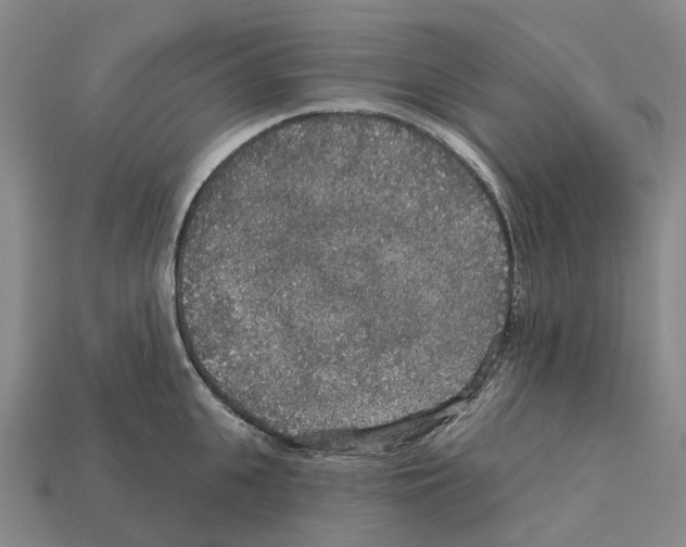 X0000112430951200909251534