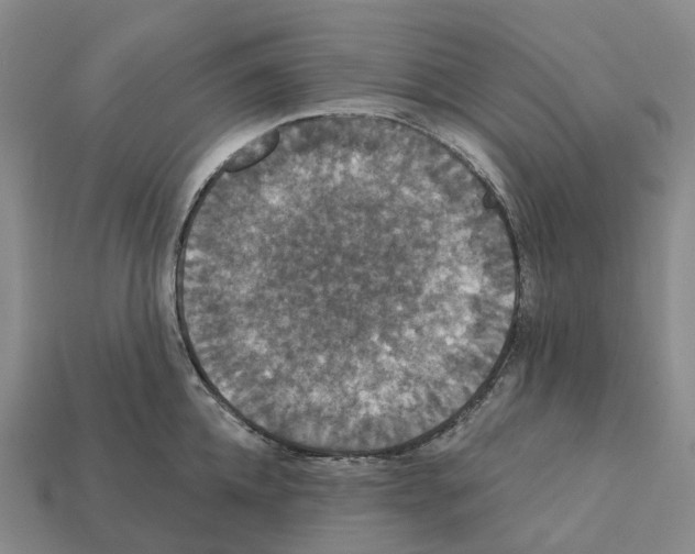 X0000112430952200909251534