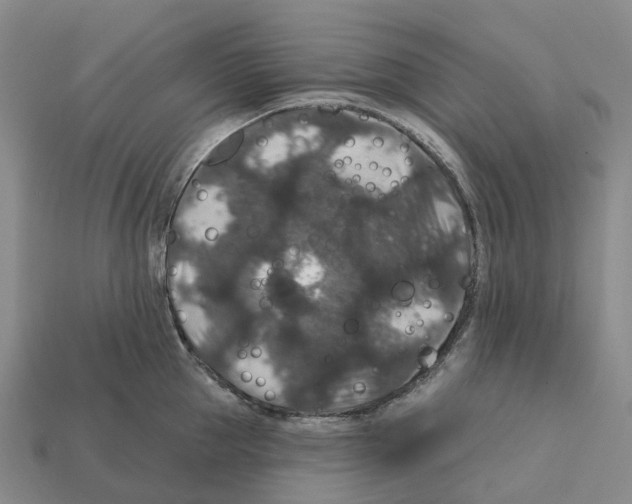 X0000112430953200909251534