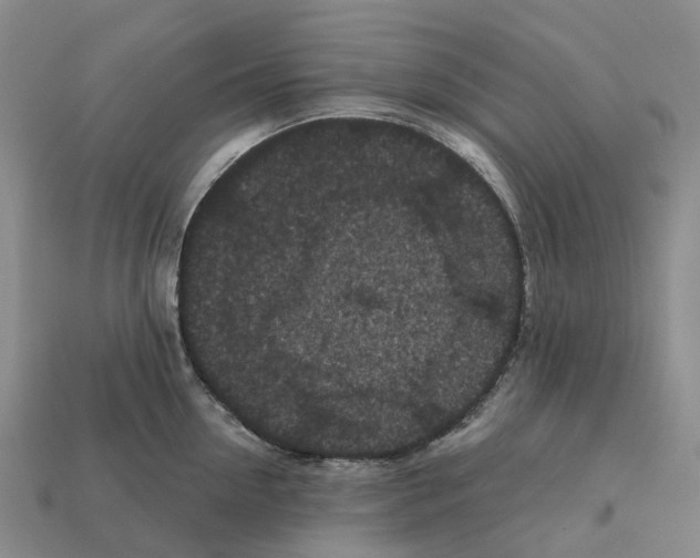 X0000112430954200909251534