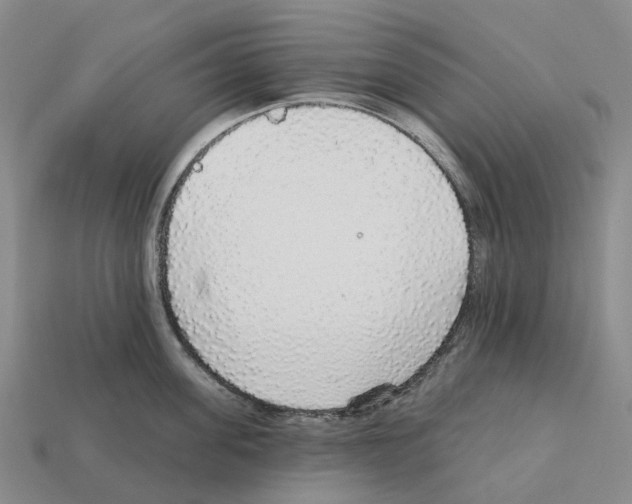 X0000112430955200909251534