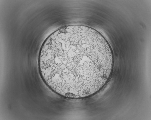 X0000112430957200909251534