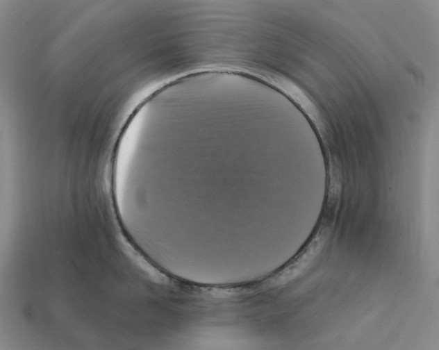 X0000112430958200909251534