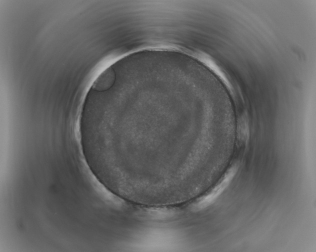 X0000112430959200909251534