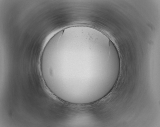 X0000112430960200909251534
