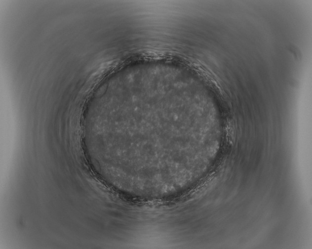 X0000112430961200909251533