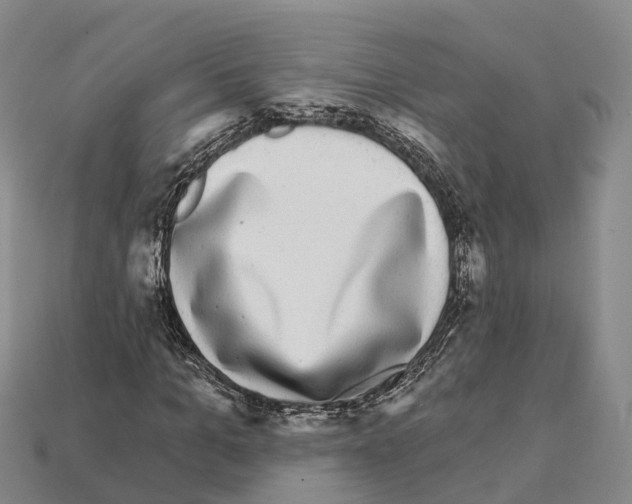 X0000112430965200909251533