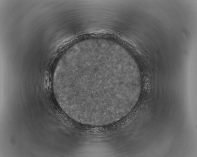X0000112430966200909251533