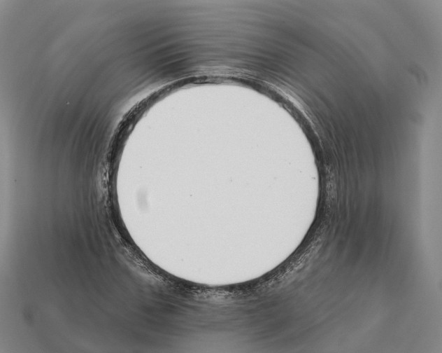X0000112430971200909251533