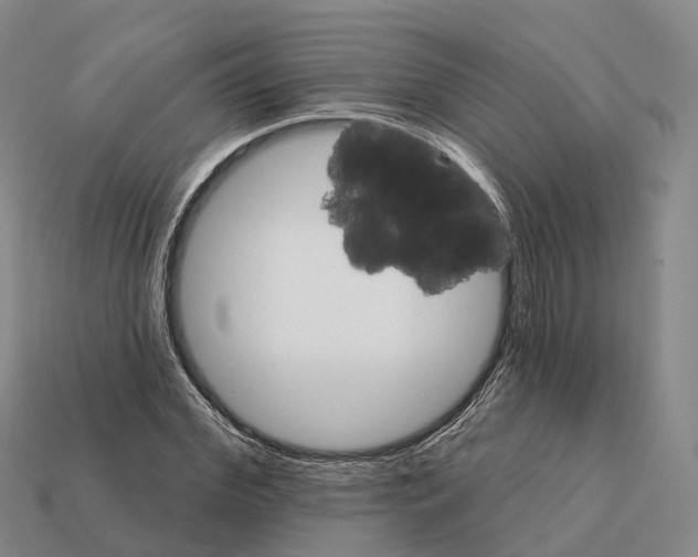 X0000112430972200909251533