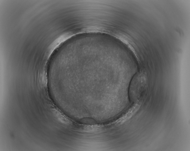 X0000112430973200909251533