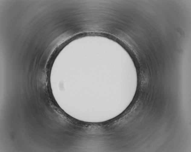X0000112430974200909251533