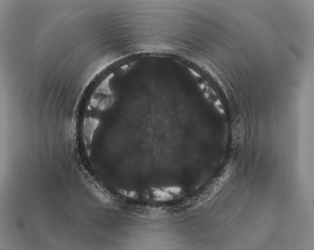 X0000112430975200909251533