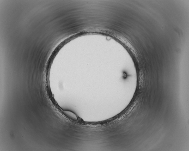 X0000112430976200909251533