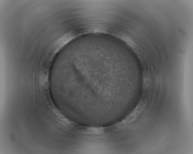X0000112430977200909251533