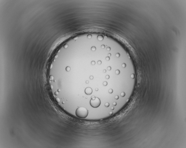 X0000112430978200909251533