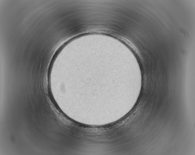 X0000112430980200909251533