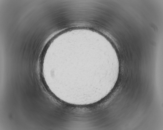 X0000112430983200909251533