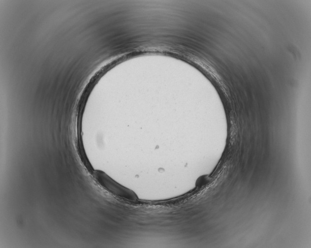 X0000112430984200909251533