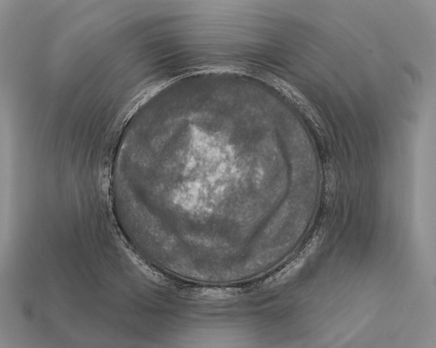 X0000112430985200909251533