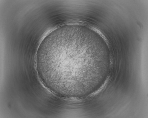 X0000112430986200909251533
