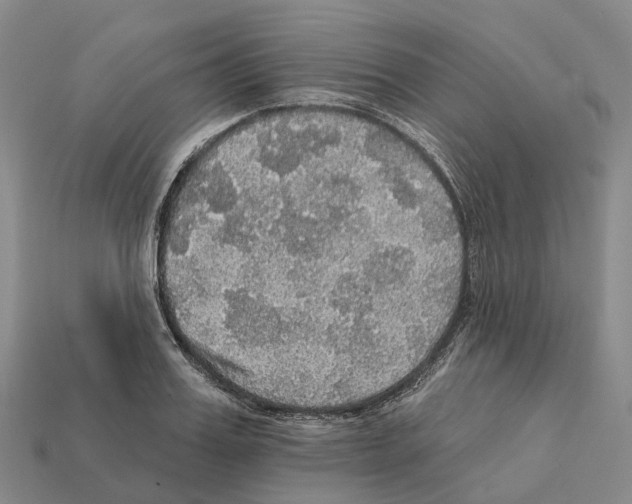 X0000112430987200909251533