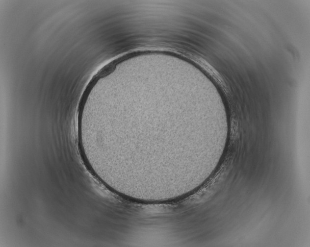 X0000112430988200909251533