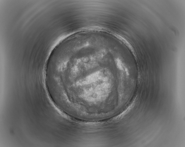 X0000112430989200909251533