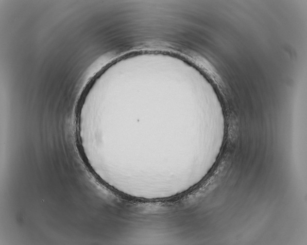 X0000112430990200909251533