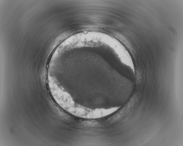 X0000112430994200909251533