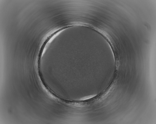 X0000112430995200909251533