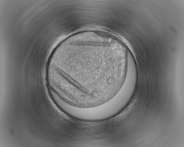 X0000112430997200909251533