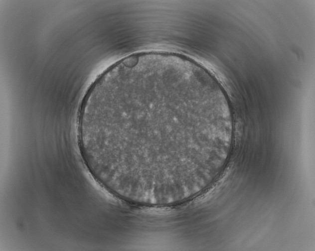 X0000112430998200909251533