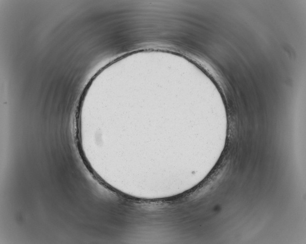 X0000112430999200909251533