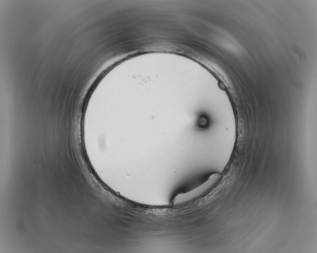 X0000112431000200909251533