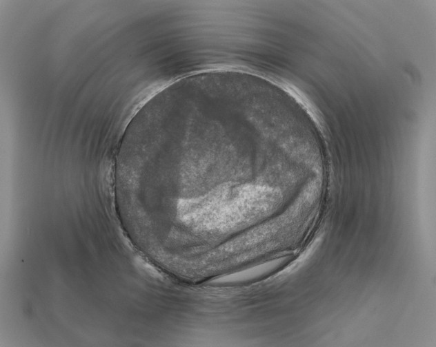 X0000112431001200909251532