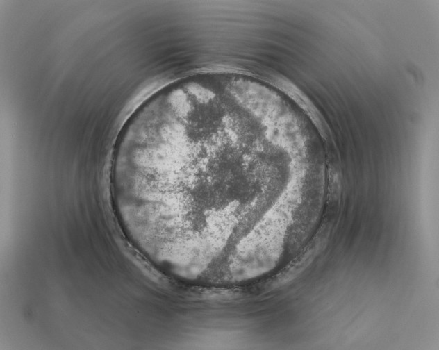 X0000112431002200909251532