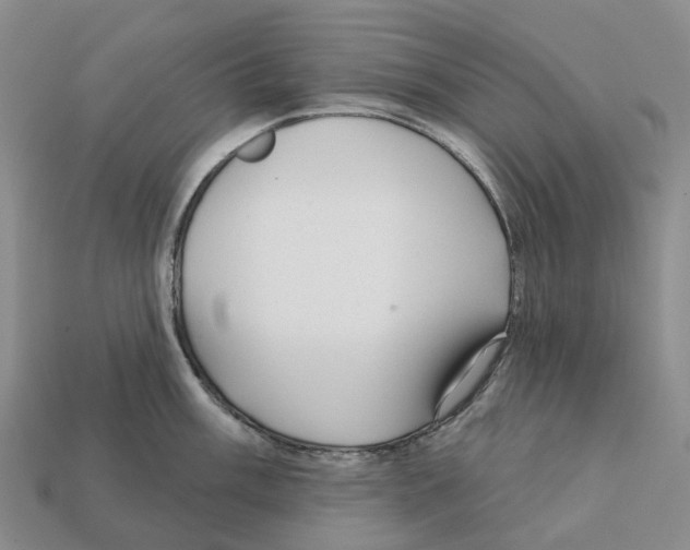 X0000112431003200909251532