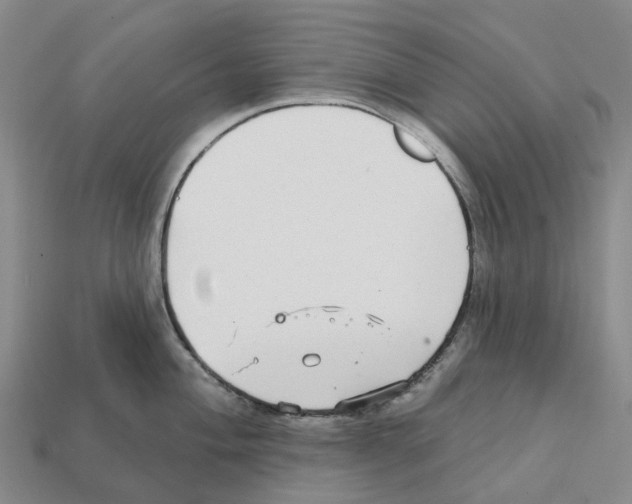 X0000112431004200909251532