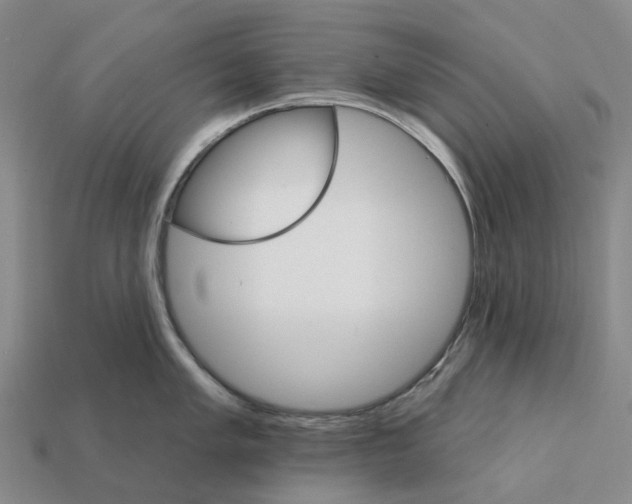 X0000112431005200909251532