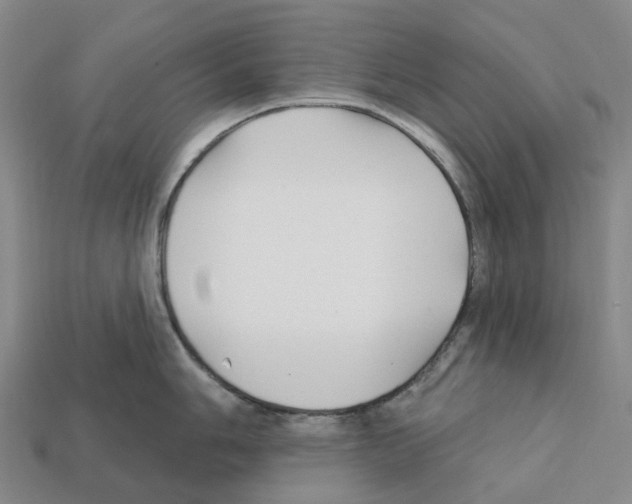 X0000112431006200909251532