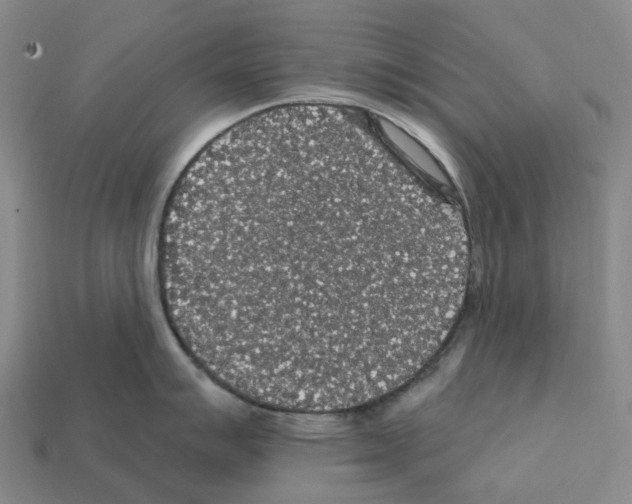 X0000112431007200909251532