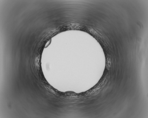 X0000112431010200909251532