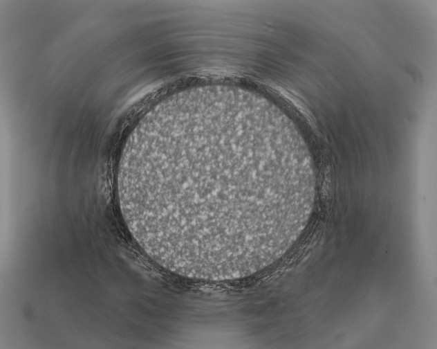 X0000112431015200909251532